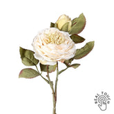 ROSE fáradt krém mű rózsa 33 cm, szárított hatású Real Touch dekorációs virág bimbóval