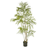 Zöld, 180 cm magas mű ruszkusz cserje fekete műanyag cserépben fehér háttérrel.