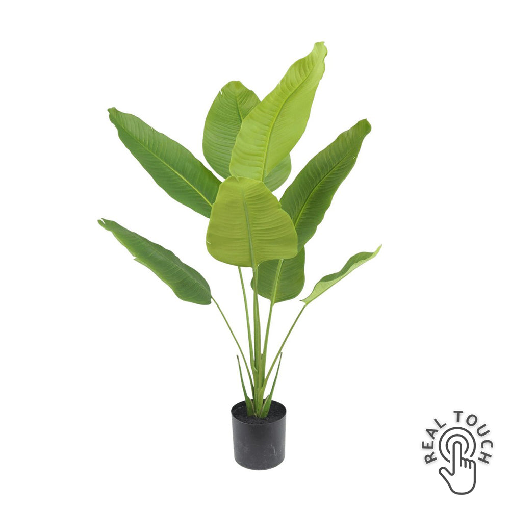 Fehér háttér előtt álló, 120 cm magas, Real Touch hatású mű strelitzia növény fekete cserépben.