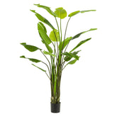 Óriás 235 cm magas mű strelitzia növény fekete cserépben, élethű levelekkel.