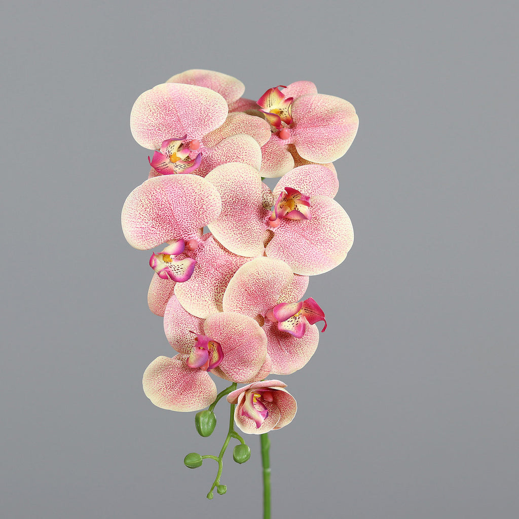 Barackszínű, szálas orchidea művirág.