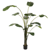 Élethű zöld mű utazók pálmája 170 cm magas kaspóban.