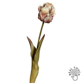 real touch mű tulipán fáradt barna krém színben 45 cm