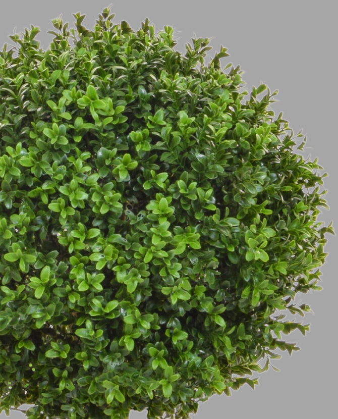 Zöld színű buxus fa műnövény.
