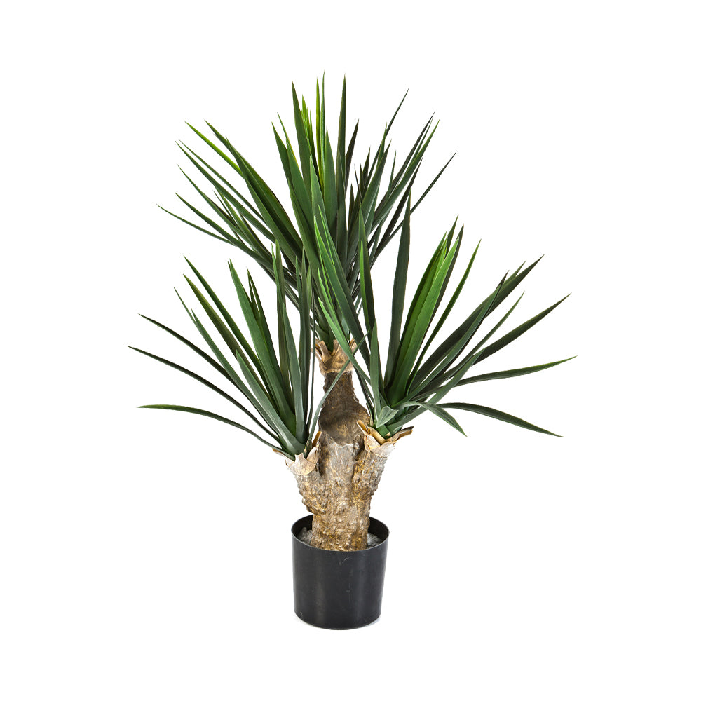 Yucca zöld mű baby jukka pálma 68 cm teljes növény fekete kaspóban.