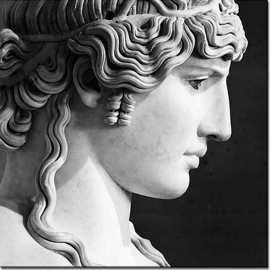 Antinous Mondragone szobrának profilja szürkeárnyalatos vászonkép