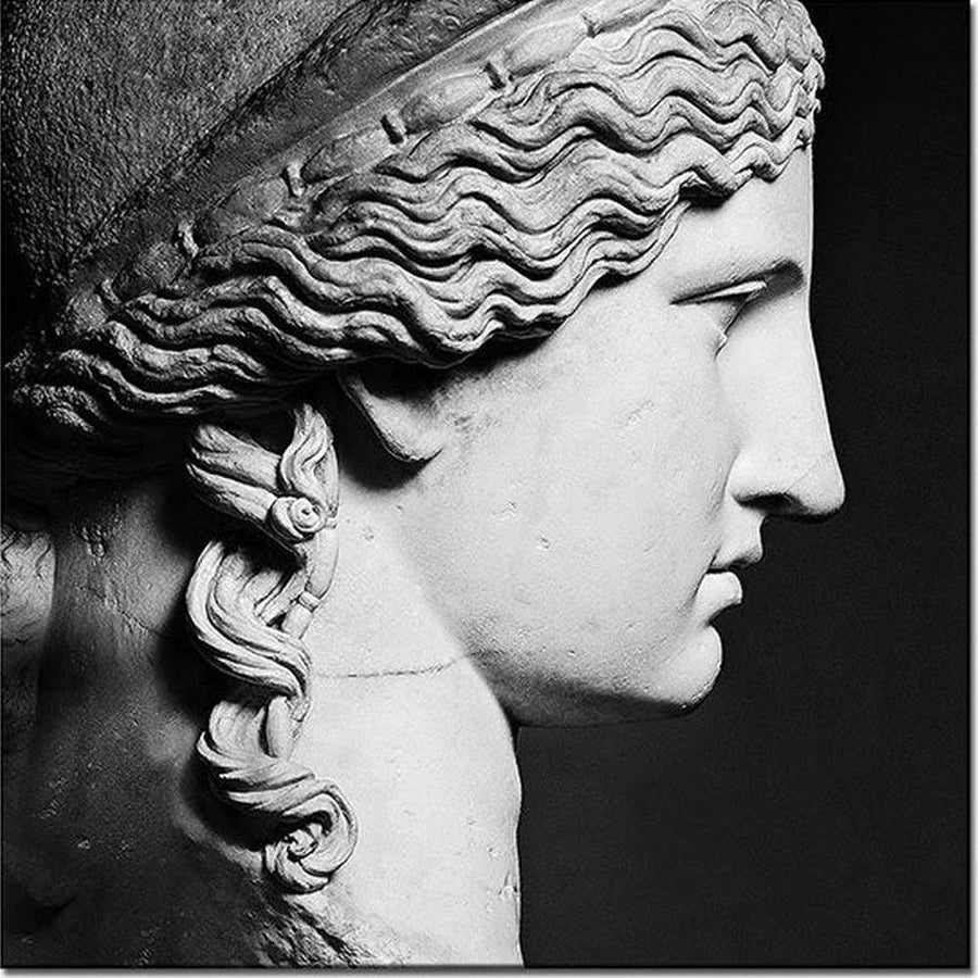 Hera Ludovisi szobrának profilja szürkeárnyalatos vászonkép