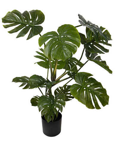 Élethű megjelenésű, mű filodendron növény, fekete műanyag cserépben
