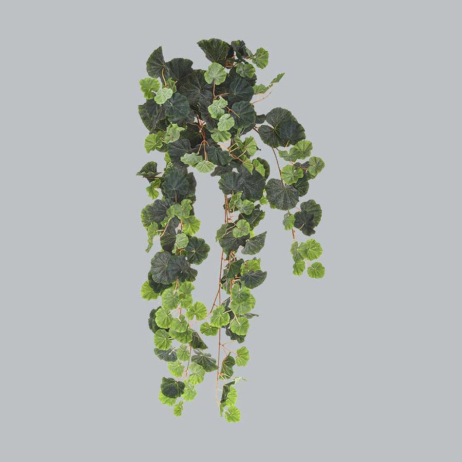 Hanging lifelike artificial geranium with cascading two tone green leaves, 78 cm long.