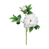 Mű bazsarózsa ág, fehér színű nyílt és bimbós virágfejekkel.