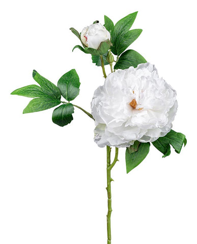 Mű bazsarózsa ág, fehér színű nyílt és bimbós virágfejekkel.