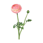 Mű boglárka, pink színű nyílt virágfejjel és egy bimbóval.