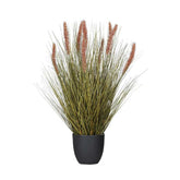 Barna színű kalászokkal rendelkező, 54 cm magas mű tollborzfű bokor, fekete műanyag kaspóban.