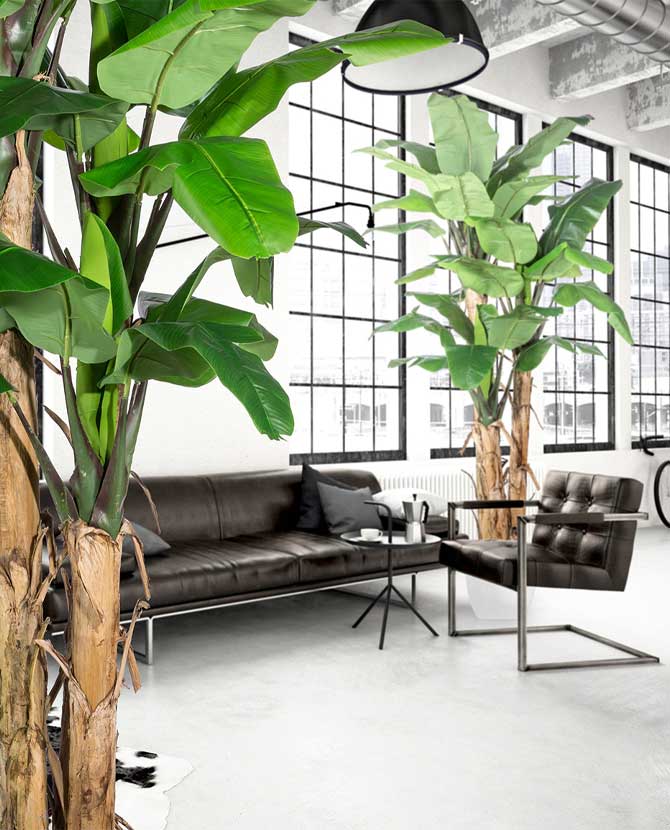 Élethű megjelenésű, óriás méretű, trópusi banánfa műnövény, loft stílusú térben.