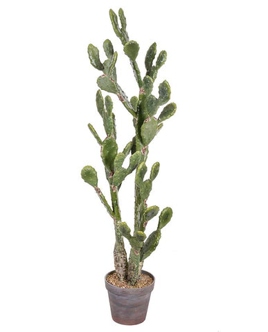 Élethű megjelenésű, 130 cm magas, hamvas zöld színű, mesterséges füge kaktusz, fekete műanyag cserépben.