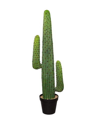 Élethű megjelenésű, 127 cm magas, zöld színű, mesterséges Mexikói kaktusz, fekete műanyag cserépben.
