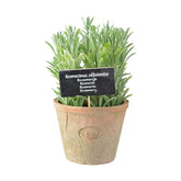 Élethű, mesterséges, 24 cm magas rozmaring dekor műnövény, vintage stílusú pecsétes terrakotta cserépben