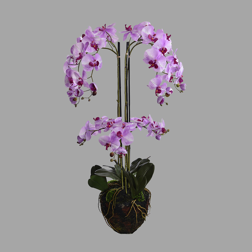 Lila színű mű orchidea, mesterséges földlabdában.