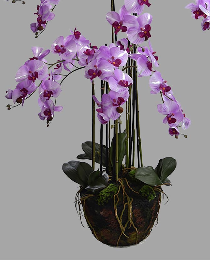 Lila színű mű orchidea, mesterséges földlabdában.
