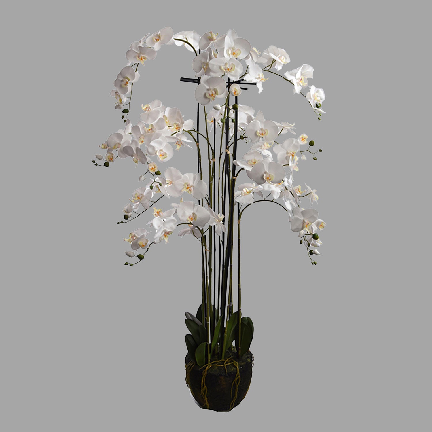 Krém színű mű orchidea, mesterséges földlabdában.
