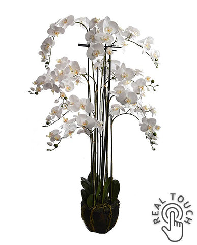 Krém színű mű orchidea, mesterséges földlabdában.