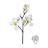 Fehér színű virágzattal és bimbokkal rendelkező, magnólia művirág.