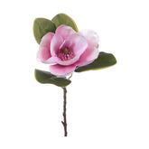 Virágzó mű magnólia ág, egy darab pink színű nyílt virággal