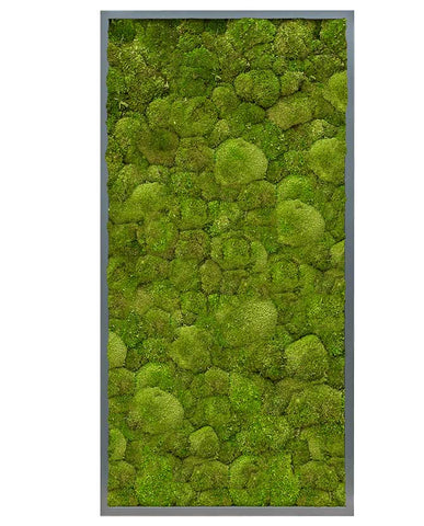 Gömbmoha növényfal panel 120 x 60 cm moha zöld "Muscus"