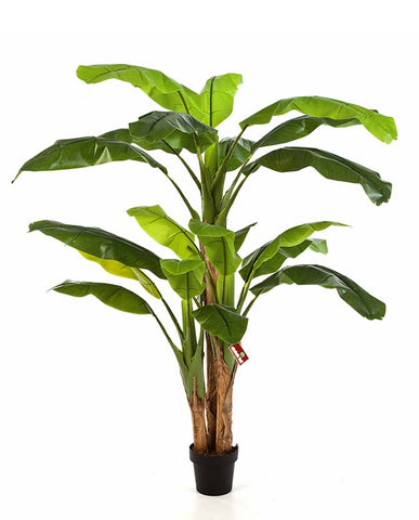 Élethű megjelenésű,, fekete színű műanyag cserépbe helyezett banánfa műnövény.