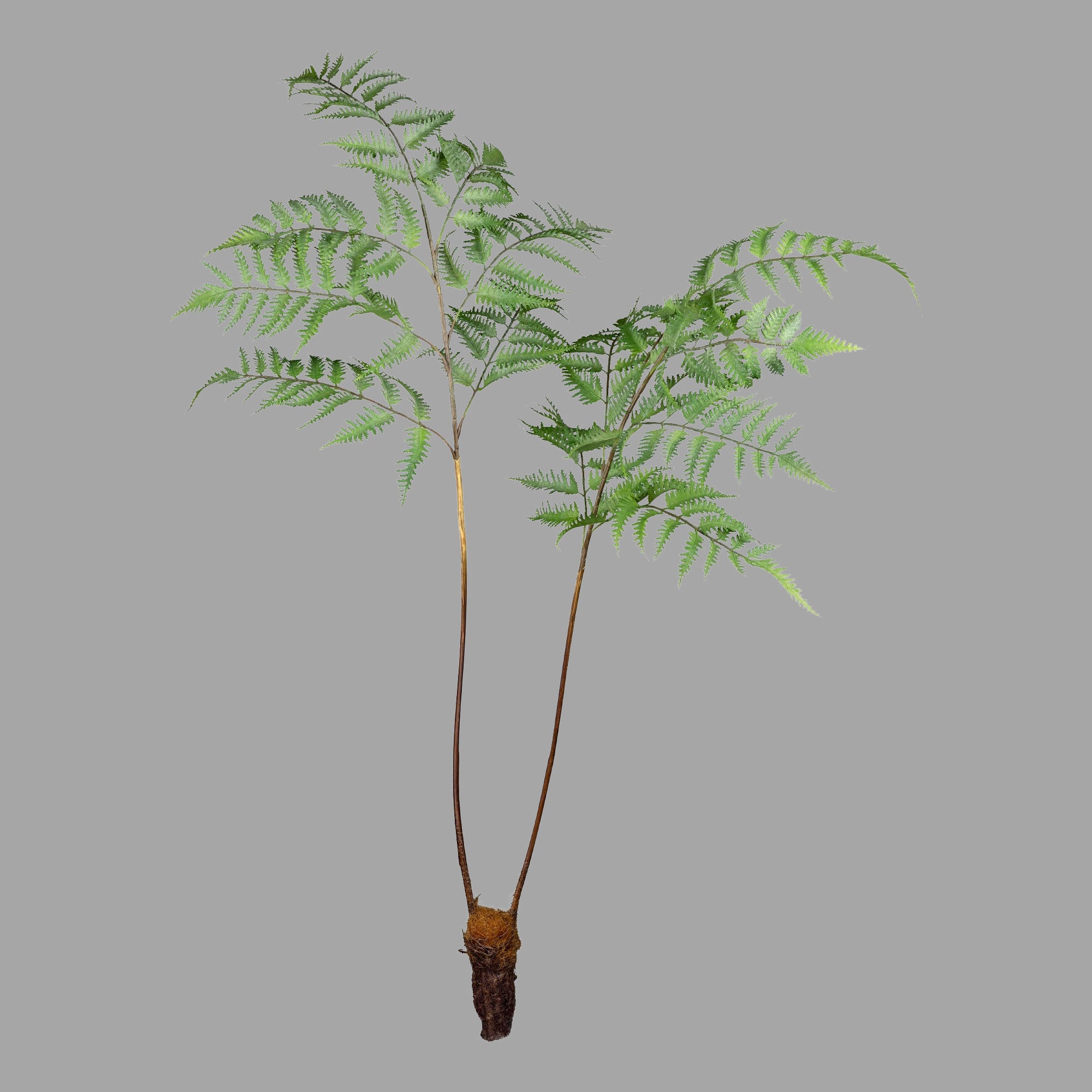 Óriás méretű, élethű megjelenésű, 105 cm magas, erdei pajzsika ág, páfrány műnövény.