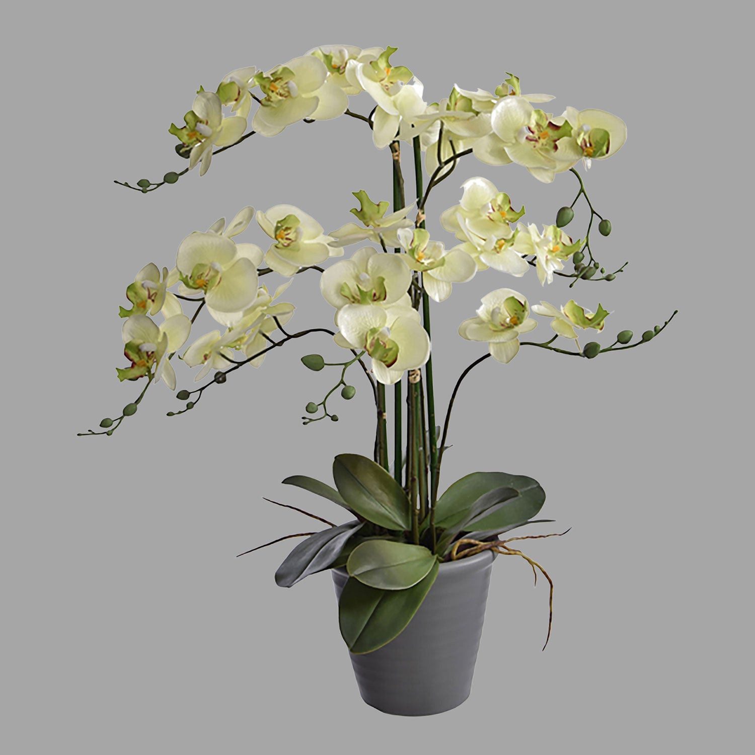 Krém-zöld színű mű orchidea, szürke kerámia kaspóban.