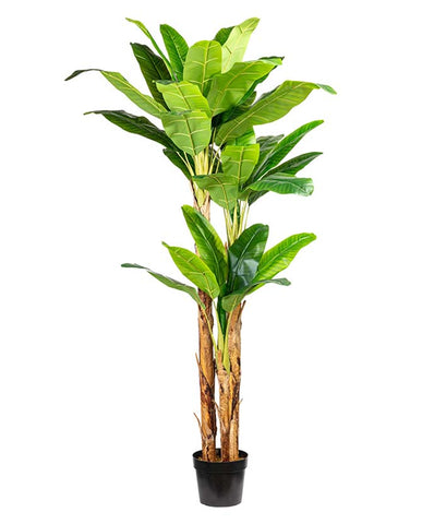 Élethű megjelenésű, óriás méretű, trópusi banánfa műnövény.