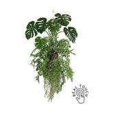 Exkluzív megjelenésű, prémium minőségű, élethű "Real Touch" hatású, függeszthető, 60 cm magas mesterséges mű páfránygolyó filodendronnal mohás földlabdában