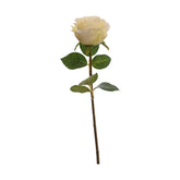 Krém színű mű rózsa, zöld levelekkel.