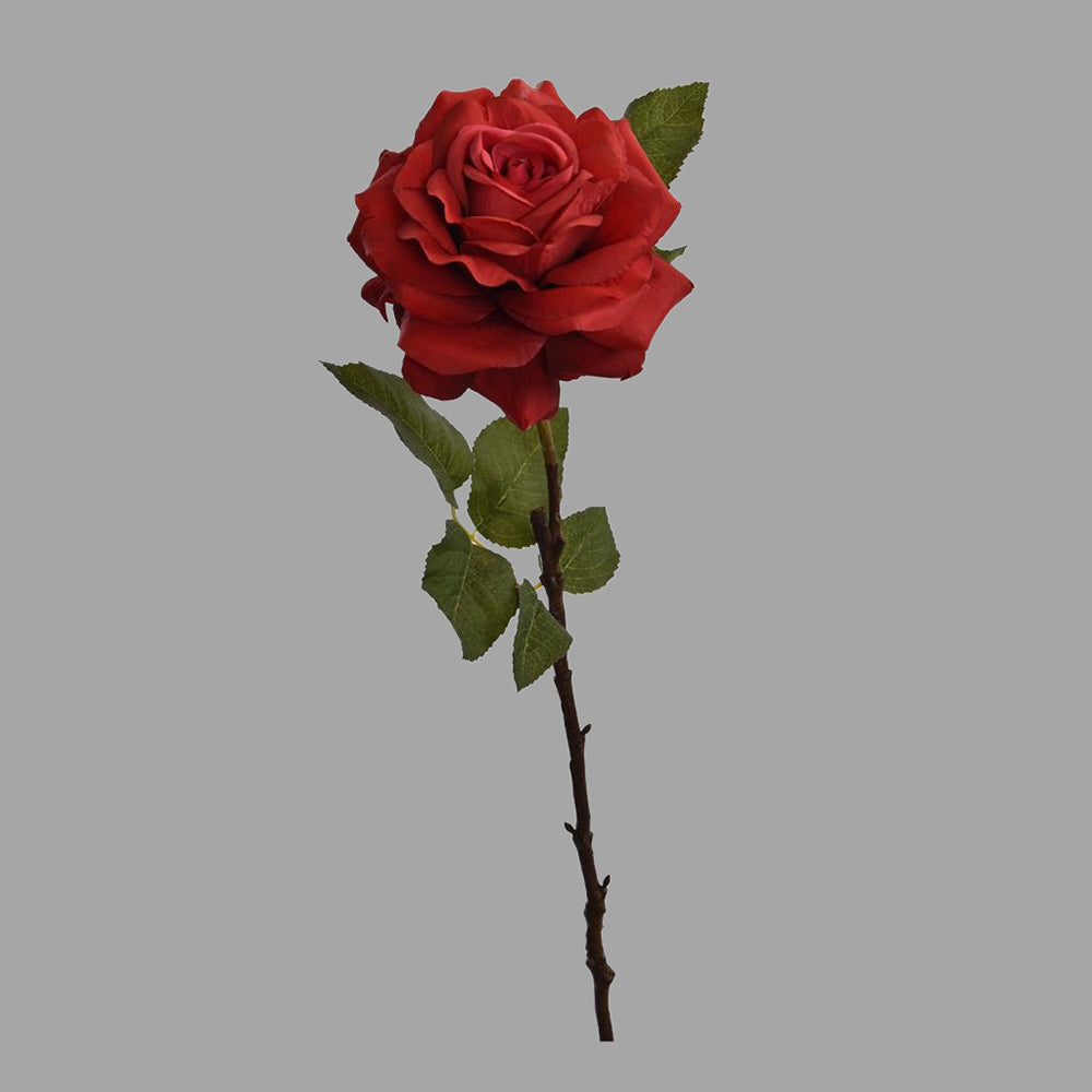 Rózsa művirág, nyílt vörös színű virágfejjel.