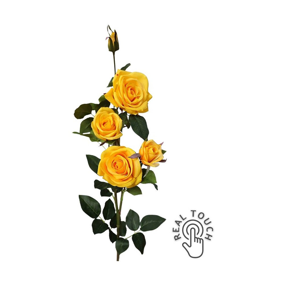 Rózsa művirág, sárga színű, nyílt és bimbós virágfejekkel.