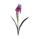 Élethű, lila színű szálas írisz művirág