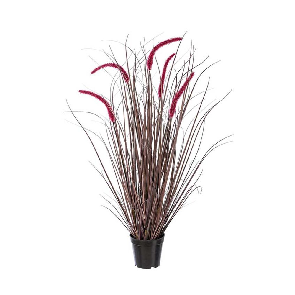 Padlizsán színű kalászokkal rendelkező, 89 cm magas mű tollborzfű bokor, fekete műanyag kaspóban.