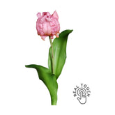 Lilásrózsaszín színű, papagáj tulipán művirág.