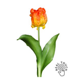 Narancssárga színű, papagáj tulipán művirág.