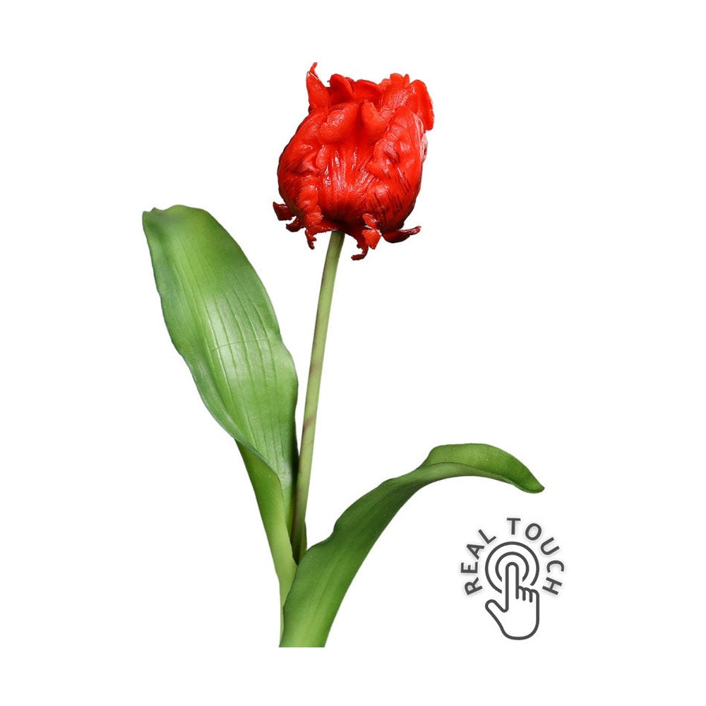 Piros színű, papagáj tulipán művirág.