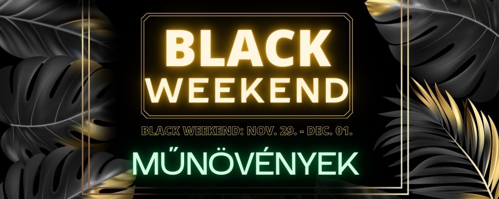 BLACK FRIDAY - Műnövények