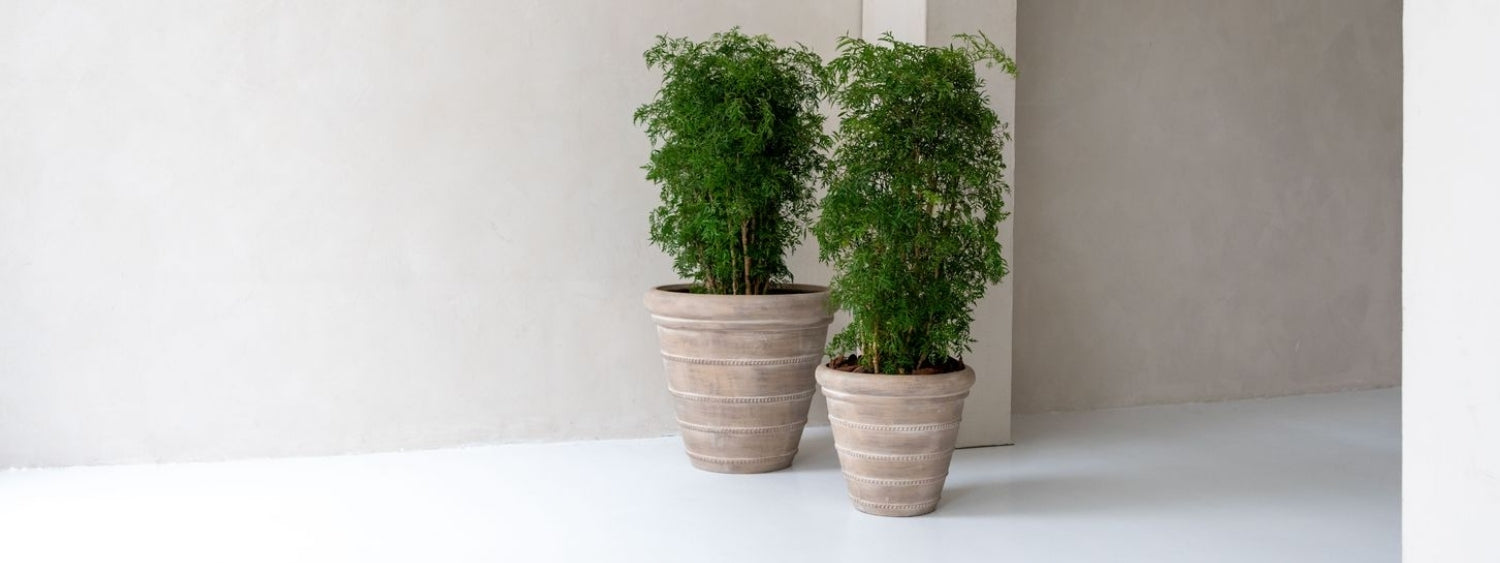 Mediterrán hangulatú Treasure kaspók modern minimalista térben, zöld növényekkel.