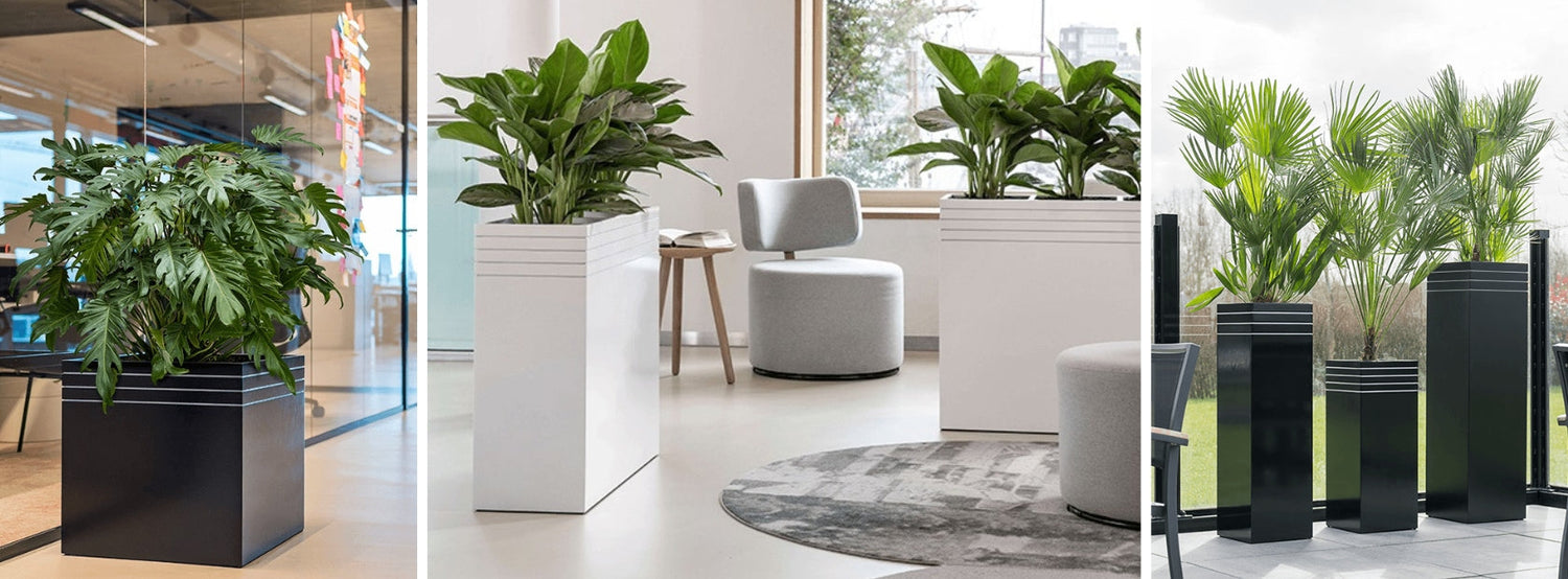 BAQ Line-Up ültetőládák matt fekete és fehér kivitelben, stílusos irodai és teraszos elrendezésben zöld növényekkel kombinálva.