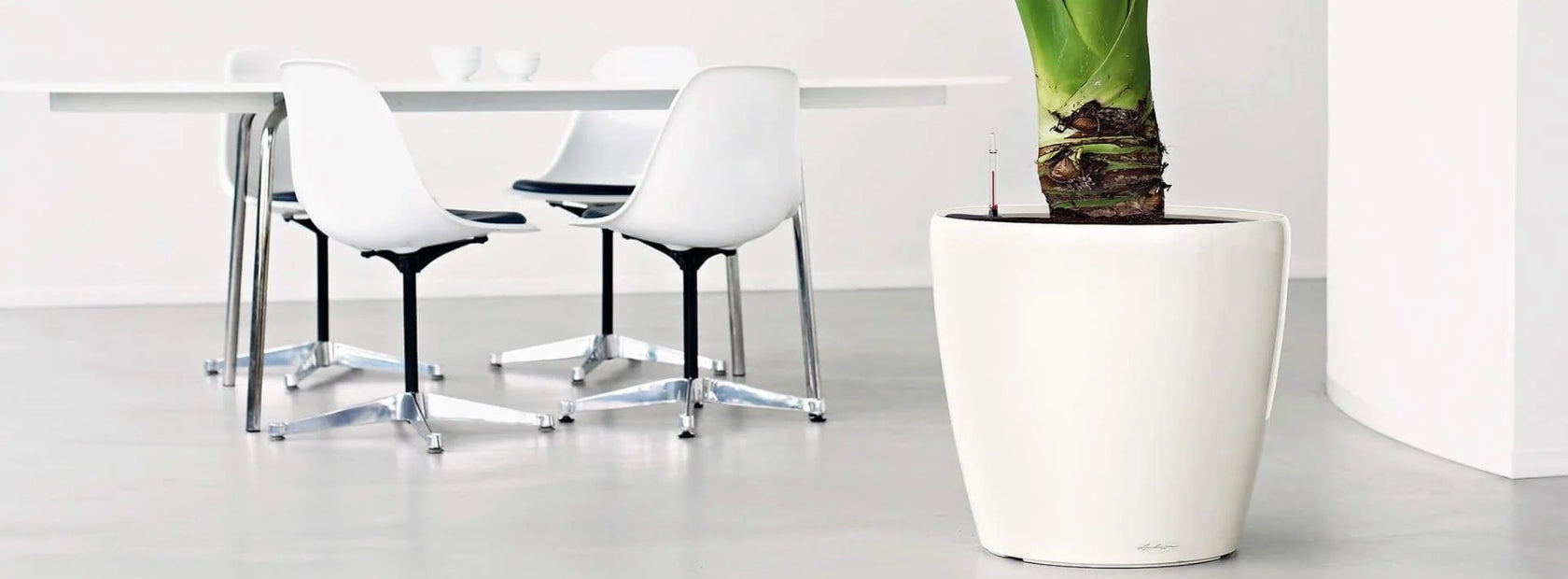 Lechuza Design Kaspók