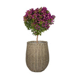 SIONA 3 db-os natúr műrattan kosár kaspószett 50 cm