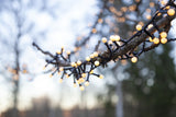 Meleg fehér fényű, 700 LED-es bogyós fényfüzér.