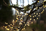Meleg fehér fényű, 700 LED-es bogyós fényfüzér.