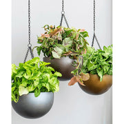 Három BAQ Gradient függeszthető kompozit kaspó különböző színekben és növényekkel, beltéri fal előtt elhelyezve.