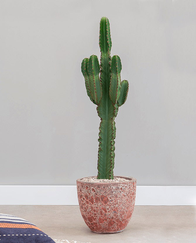 Kézzel készült, antikolt rózsaszín és piros színű, nagyméretű dizájn kerámia kaspó kaktusszal